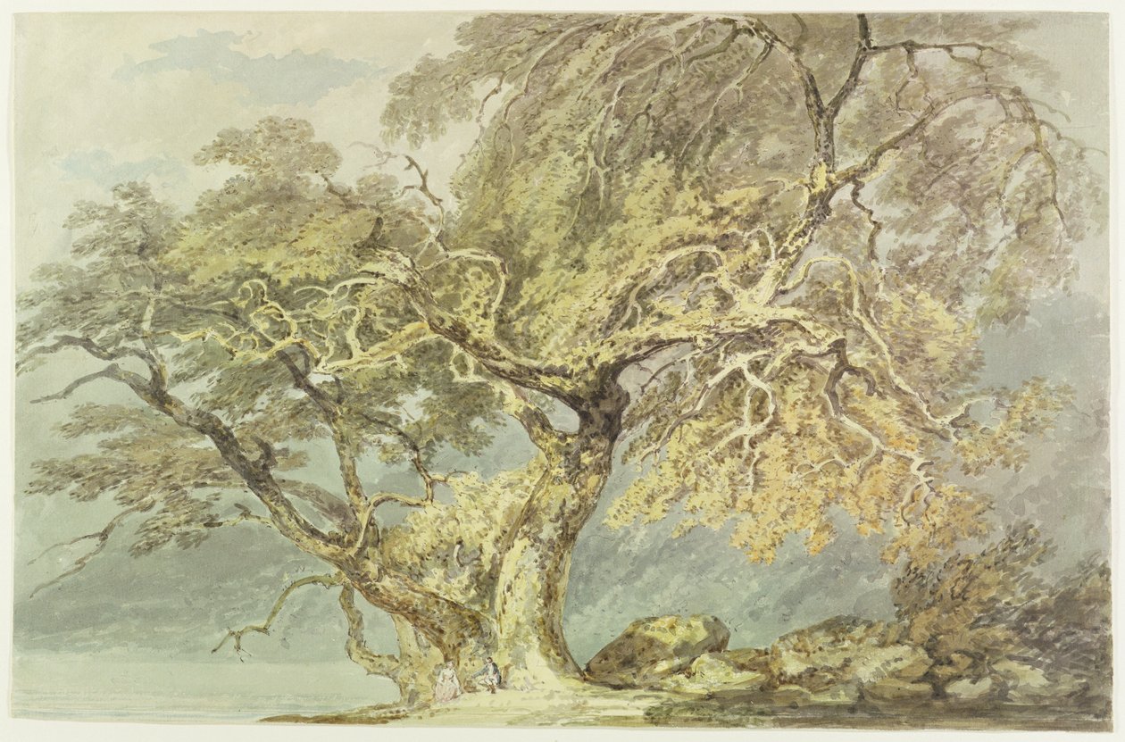 Un grand arbre, vers 1796 - Joseph Mallord William Turner