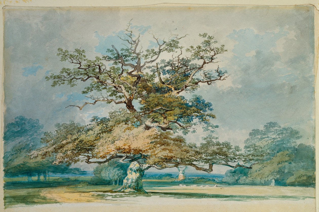 Un paysage avec un vieux chêne - Joseph Mallord William Turner