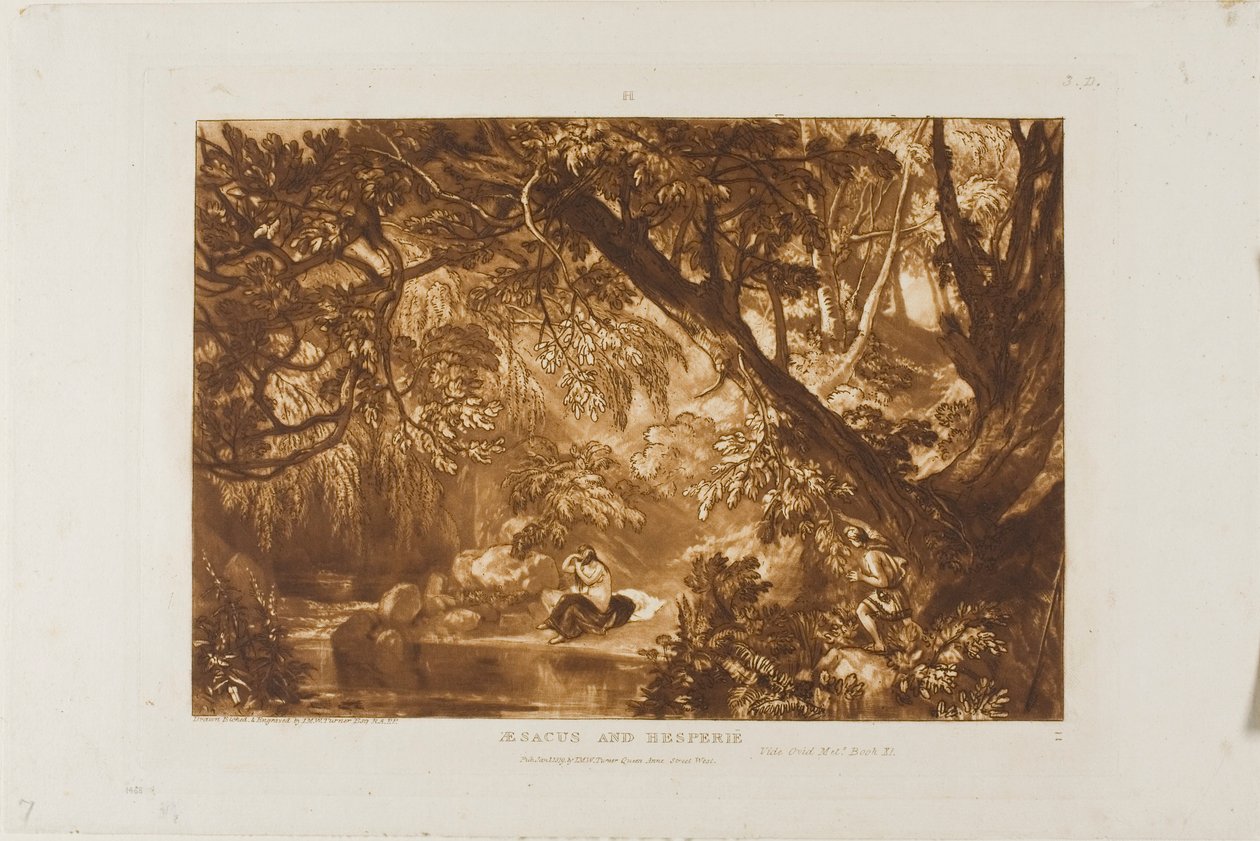 Aesacus et Hesperie, planche 66 de Liber Studiorum - Joseph Mallord William Turner