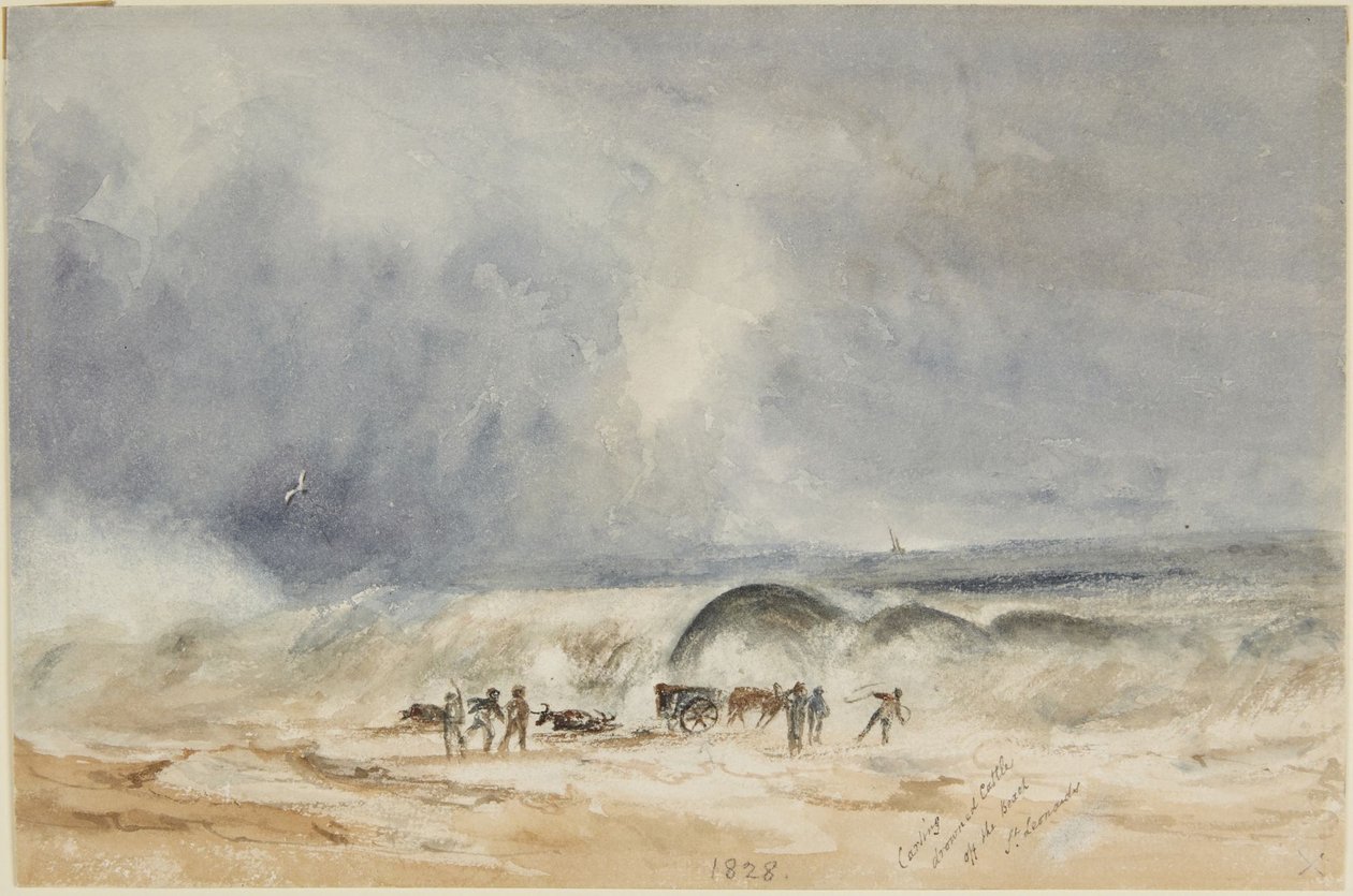 Transport par charrette de bovins noyés depuis la plage, à St Leonards - Joseph Mallord William Turner