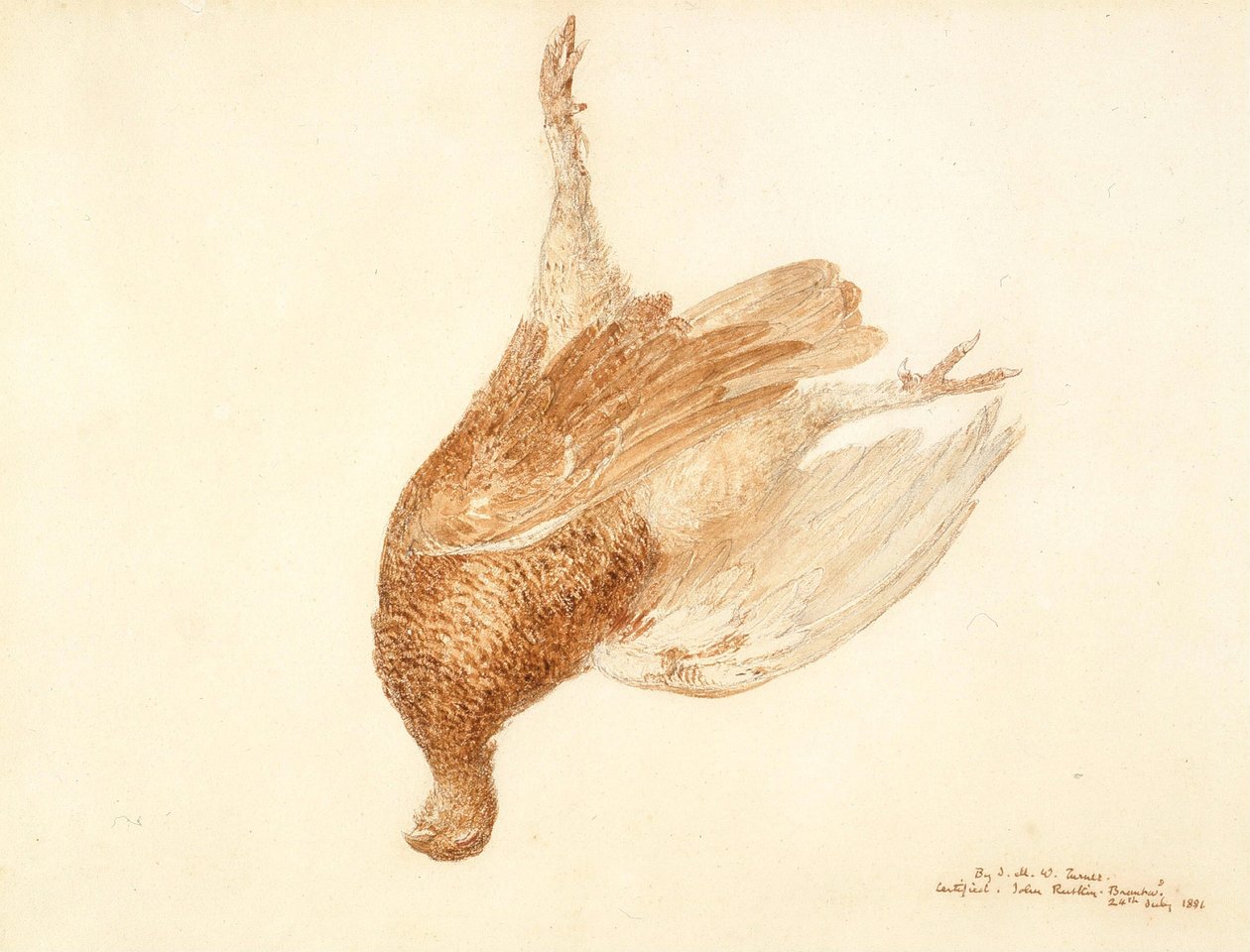 Tétras mort - Joseph Mallord William Turner