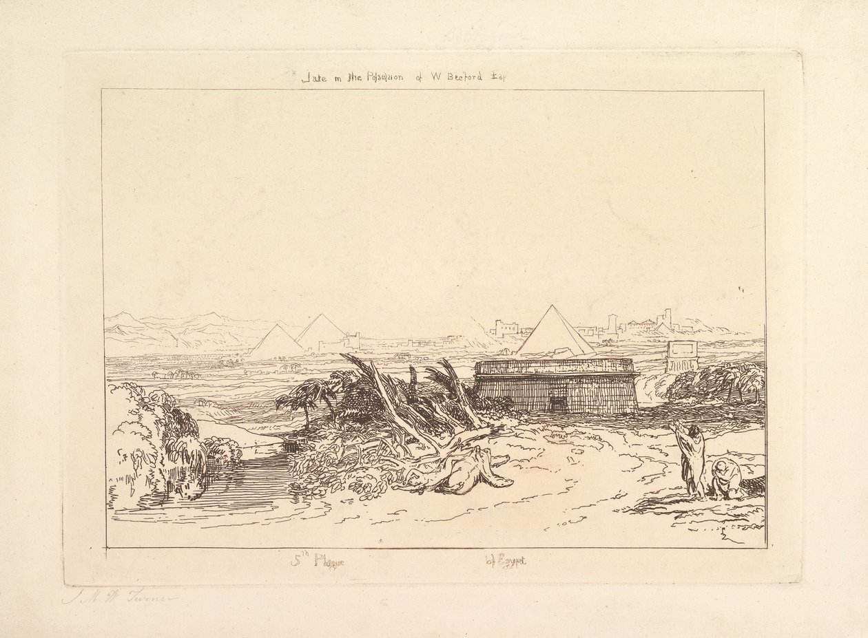 Cinquième plaie d