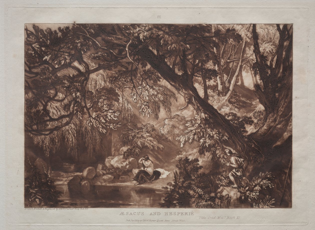 Liber Studiorum : Aesacus et Hespérie - Joseph Mallord William Turner