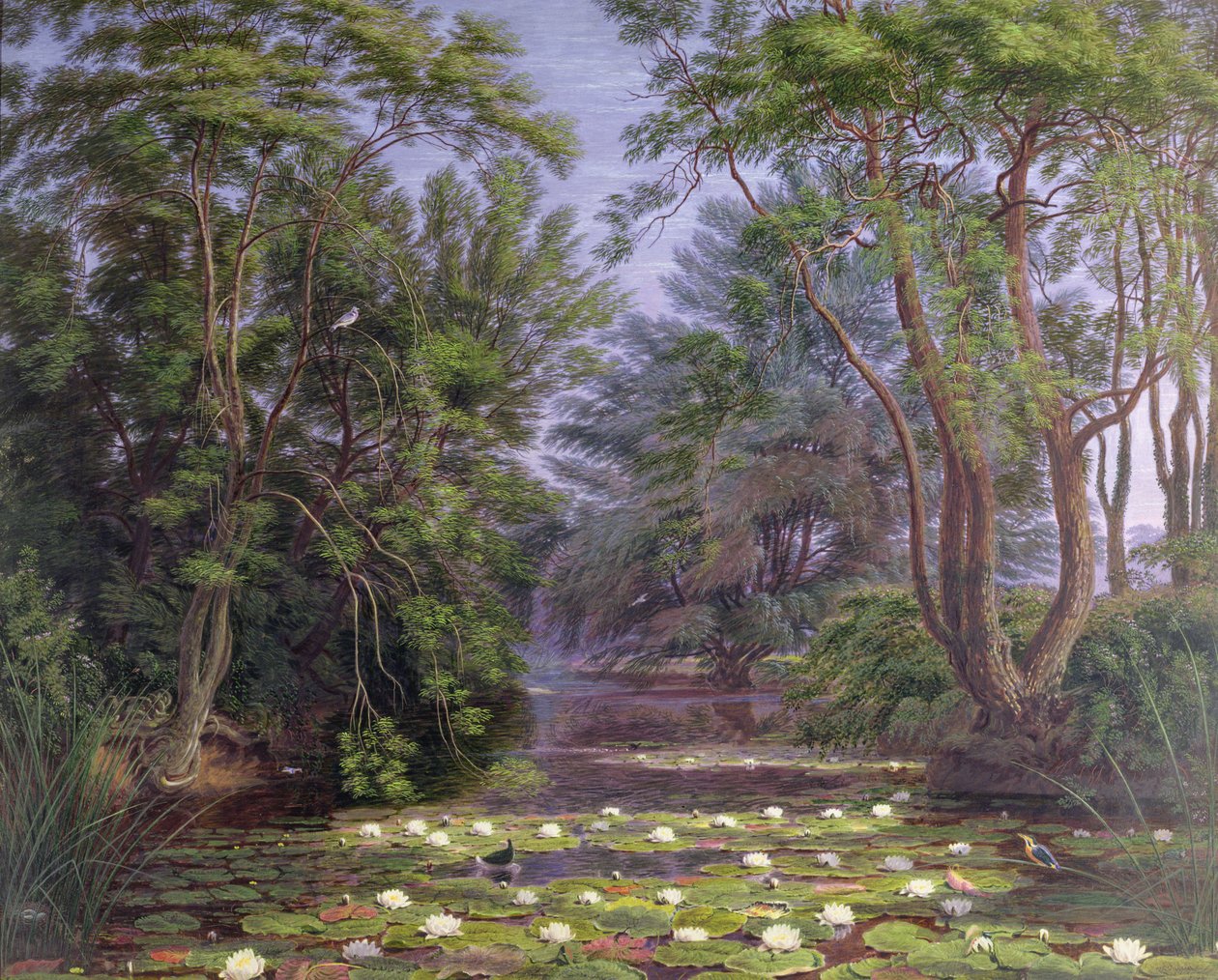 Nénuphars de la rivière Cherwell, 1851 - Joseph Mallord William Turner