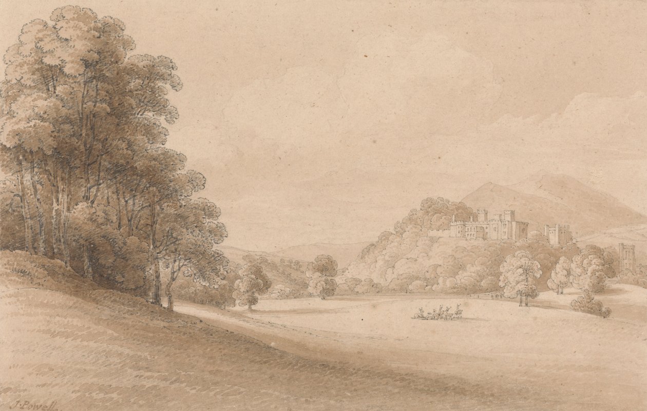 Château de Dunster, Somerset : Vue du château au loin - Joseph Powell