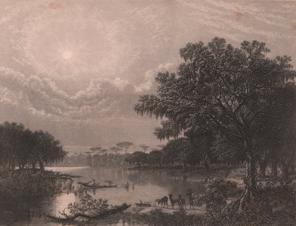 Bayou de Louisiane, États-Unis, gravure sur acier par Robert Hinshelwood (1812-après 1875) d