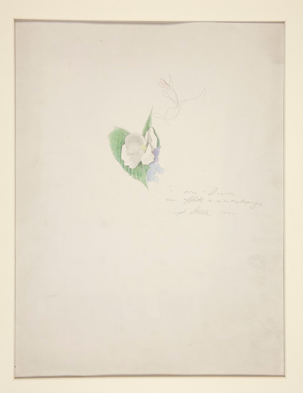 Fleur - Joseph Stella