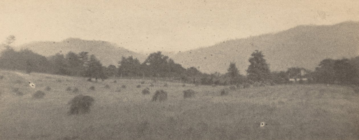 Paysage avec arbres et montagnes, c. 1900 (photo) - Joseph T. Keiley