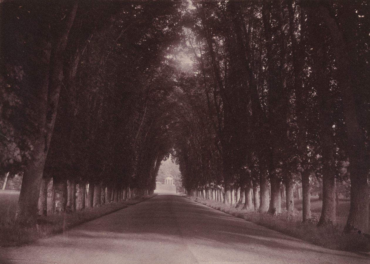 Allée, Château de Grand-Vaux, Savigny-sur-Orge, the Family Home of Vigier,c. 1855 (photo) - Joseph Vigier