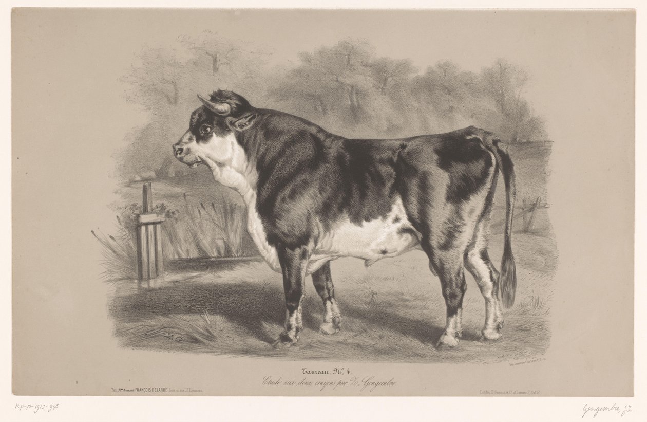Taureau dans un pré (Dierenstudies in twee soorten krijt) - Joseph Zephyris Gengembre