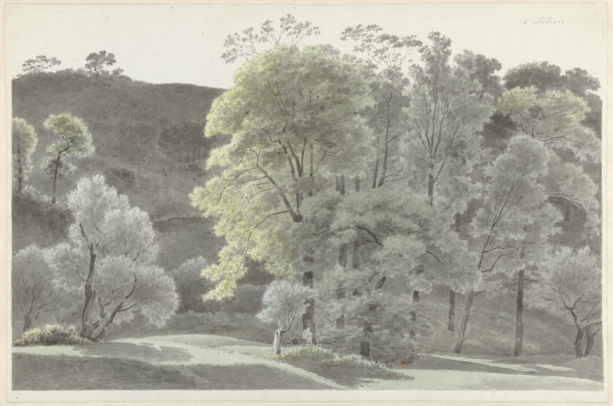 Arbres autour de Subiaco - Josephus Augustus Knip