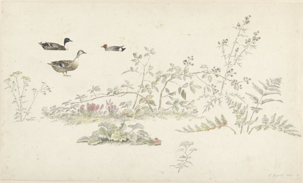 Feuille d