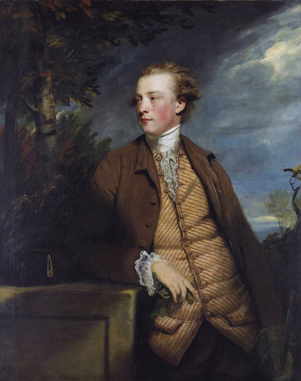 Denis Daly (1747-1791) - Joshua Reynolds