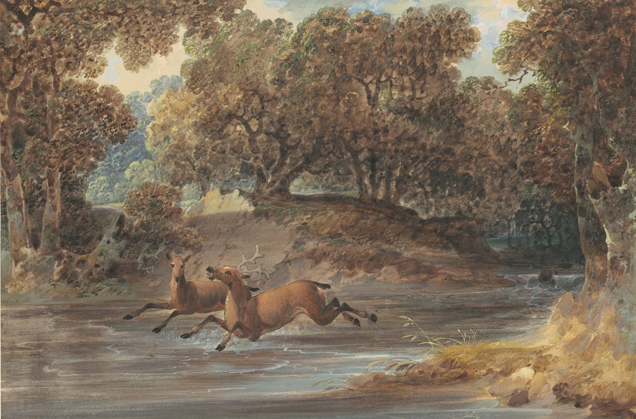 Paysage avec des cerfs, Caroline du Nord, vers 1820 - Joshua H. Shaw