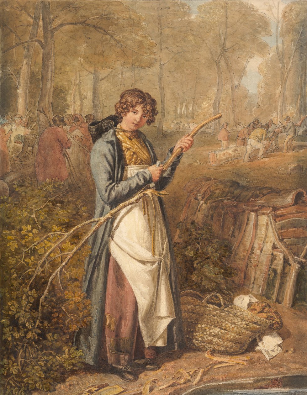 Écorçage de bois dans la forêt de Wychwood, Oxfordshire - Joshua Cristall