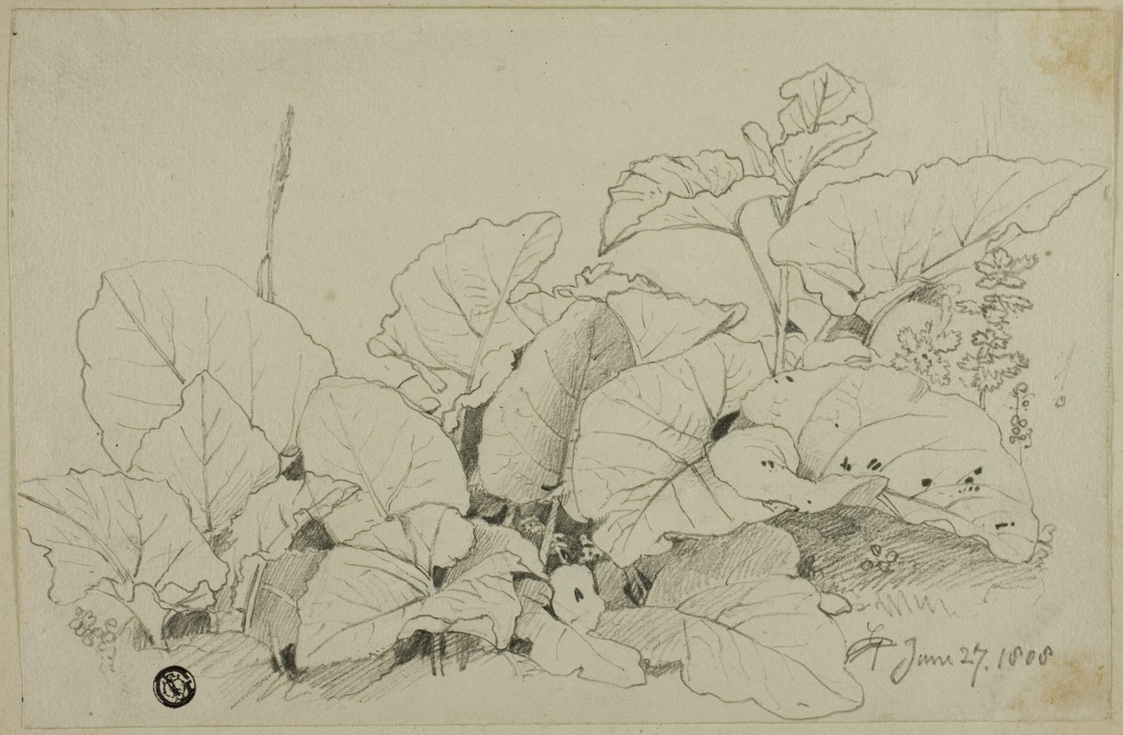 Touffe de feuilles et de fleurs - Joshua Cristall