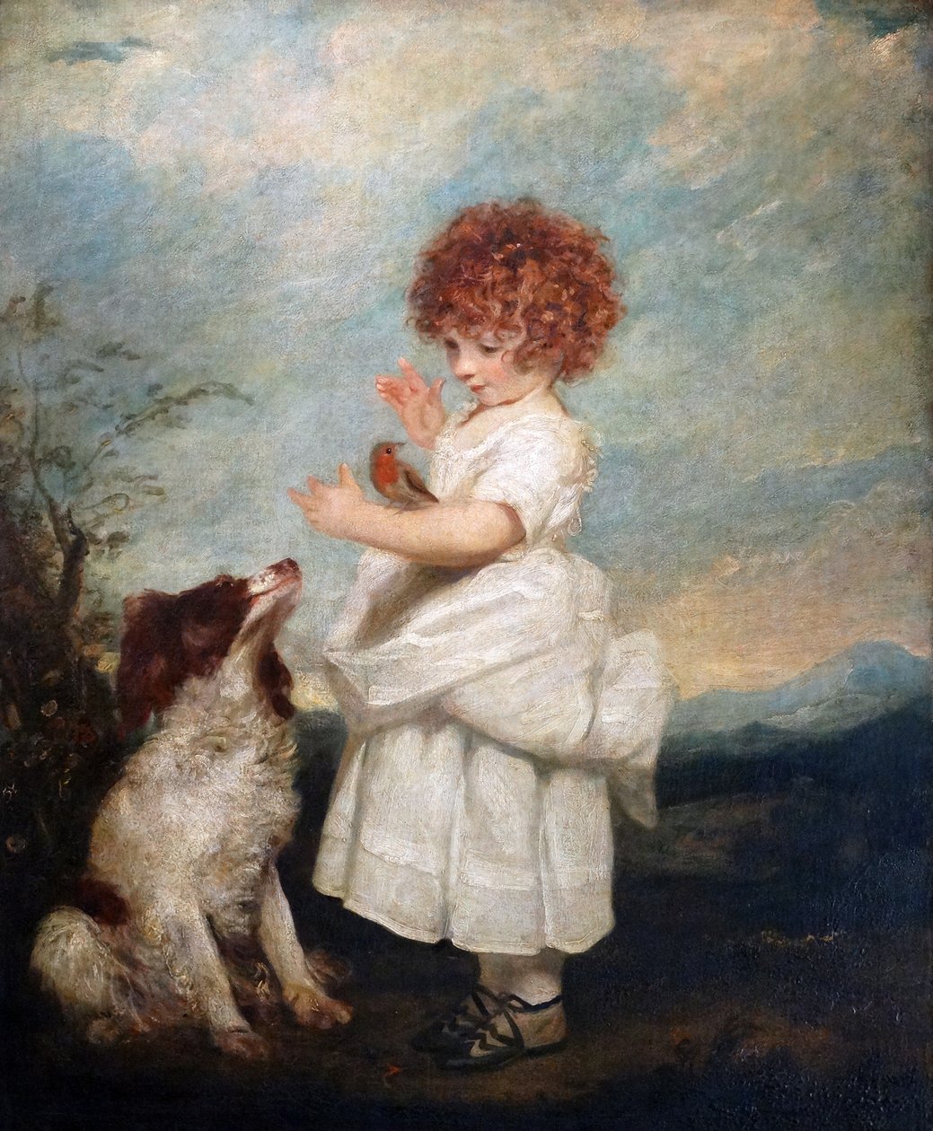 Portrait de Maître Philip Yorke par Sir Joshua Reynolds - Joshua Reynolds