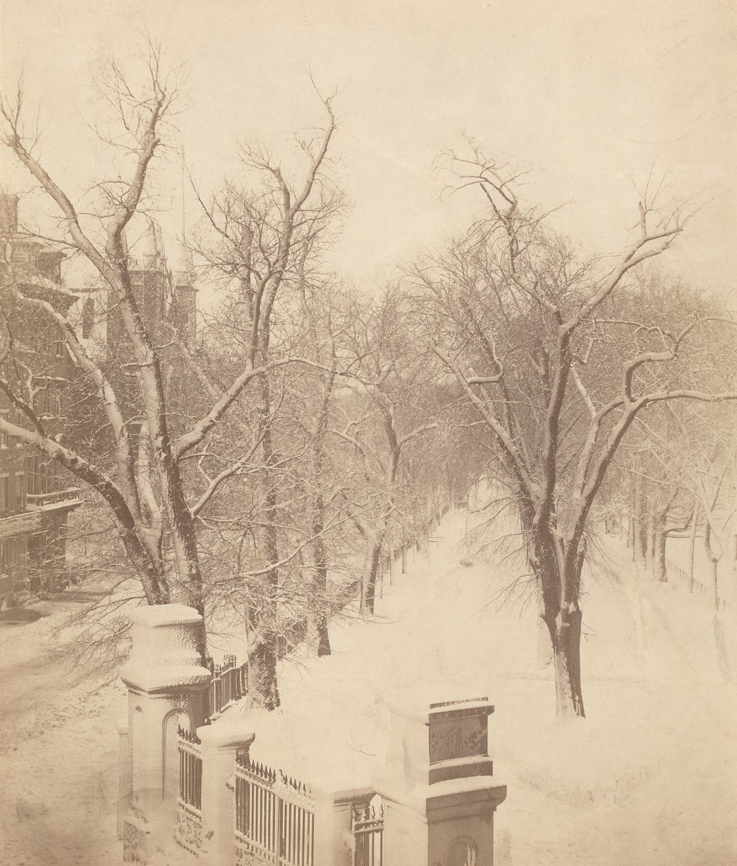 Scène de neige à Boston Common, années 1850 (photo) - Josiah Johnson Hawes