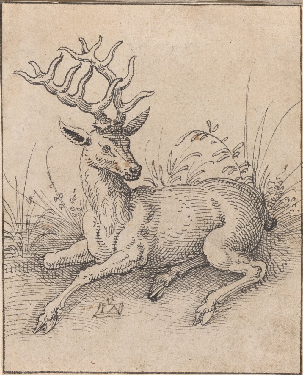 Le cerf - Jost Amman