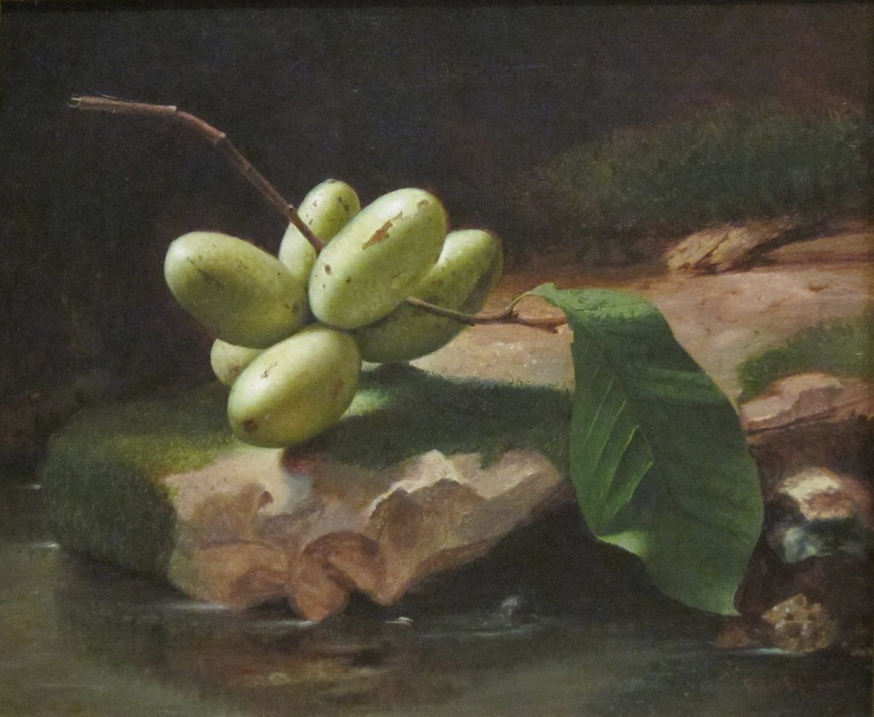 Nature morte avec Paw Paws - Jr. Edward Edmondson