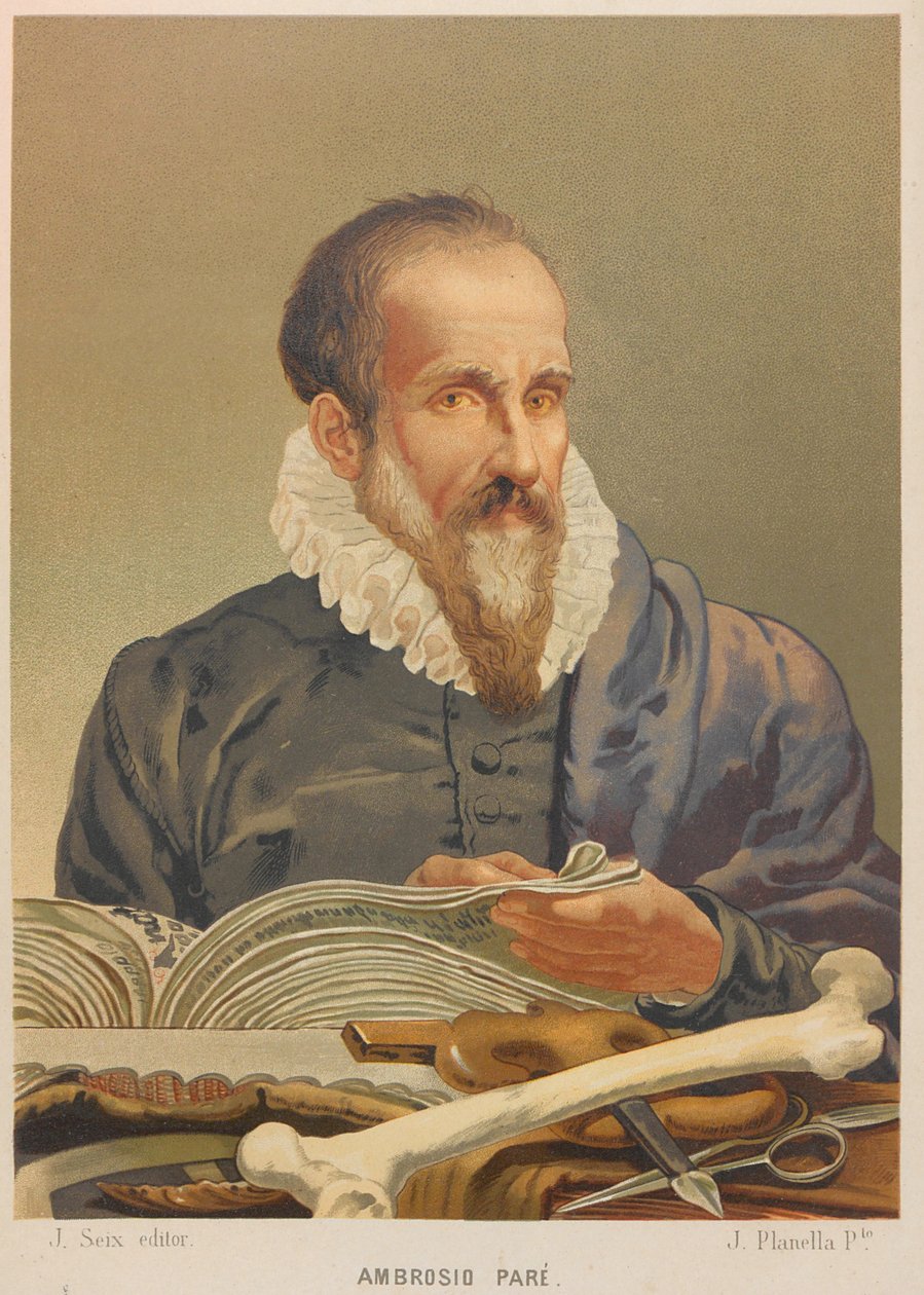 Portrait d