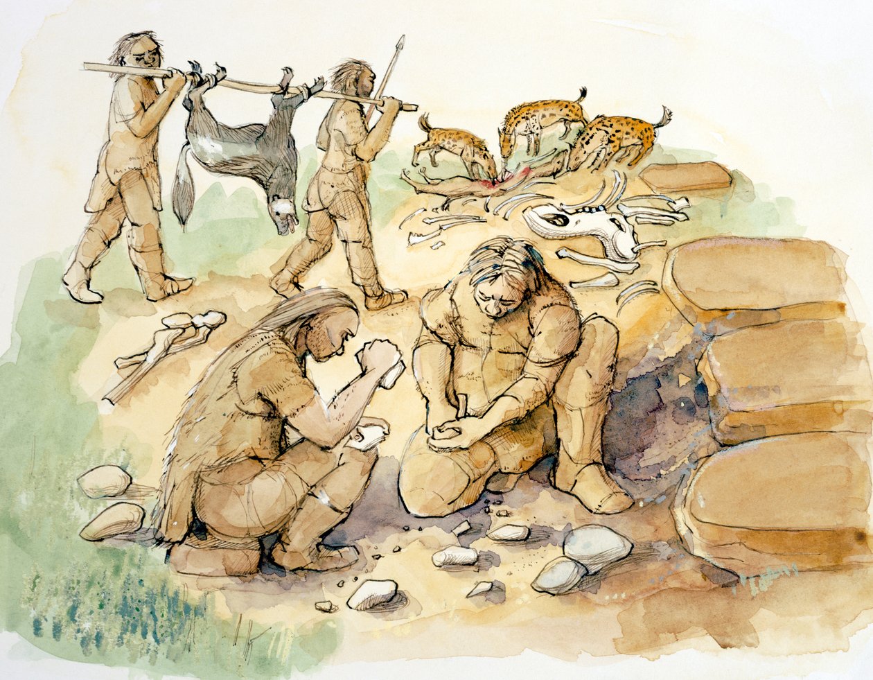 Glaston. Hominidés et hyènes, Paléolithique moyen à supérieur (30000 BP), 2001 (aquarelle sur papier) - Judith Dobie