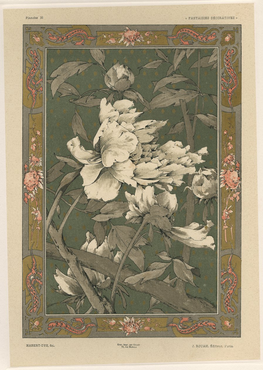 Fleurs, planche 31 de 