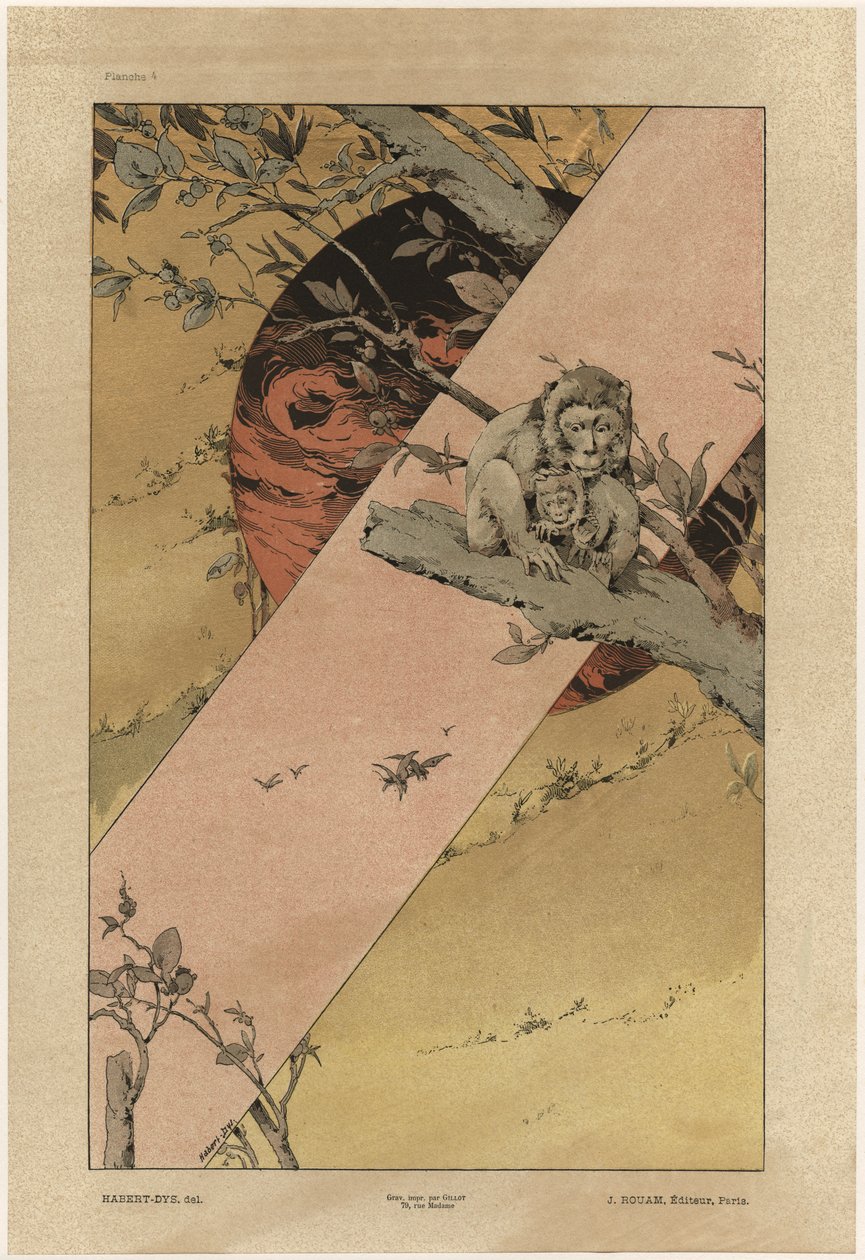 Singes, planche 4 de 