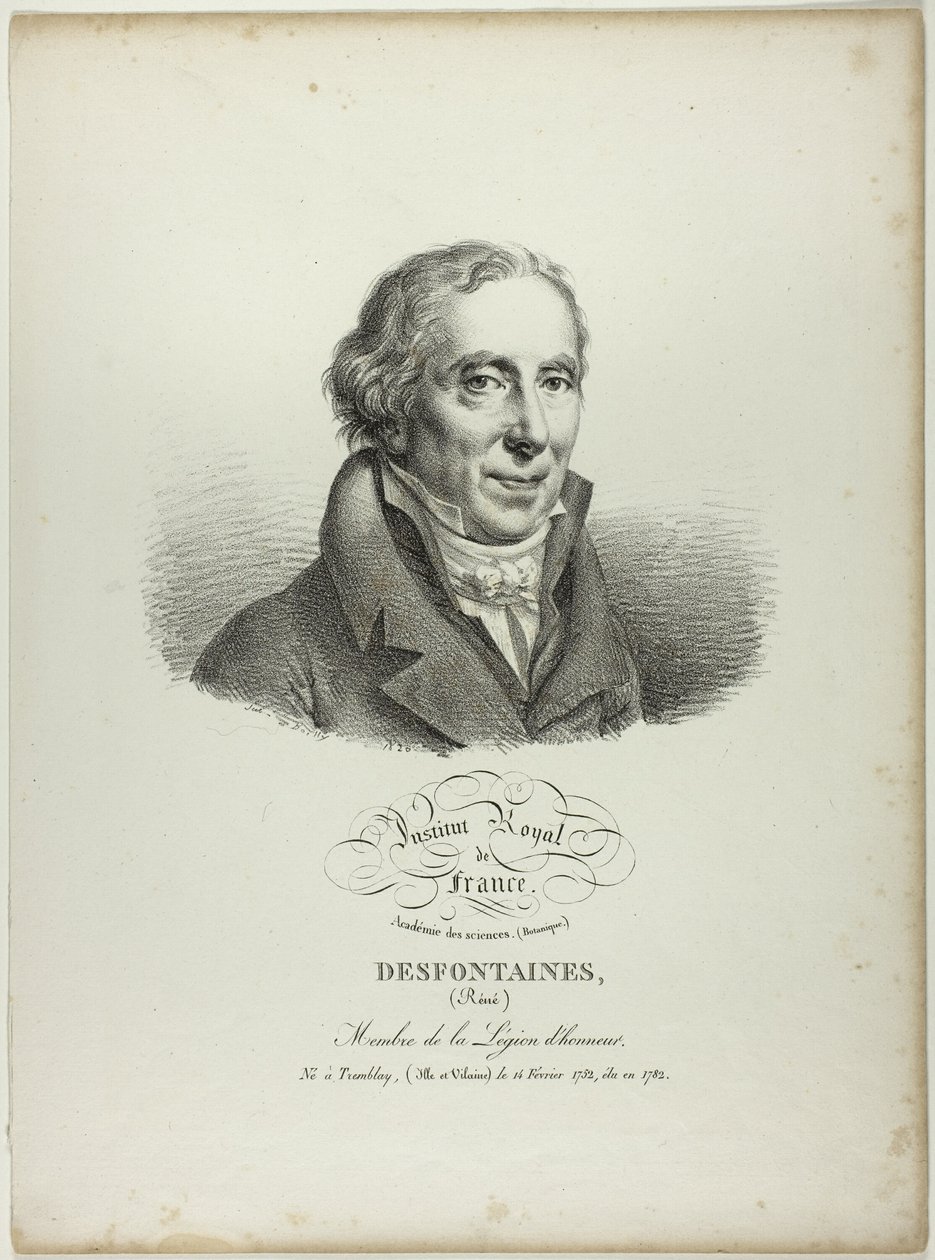 Portrait of Réné Desfonataines - Jules Boilly