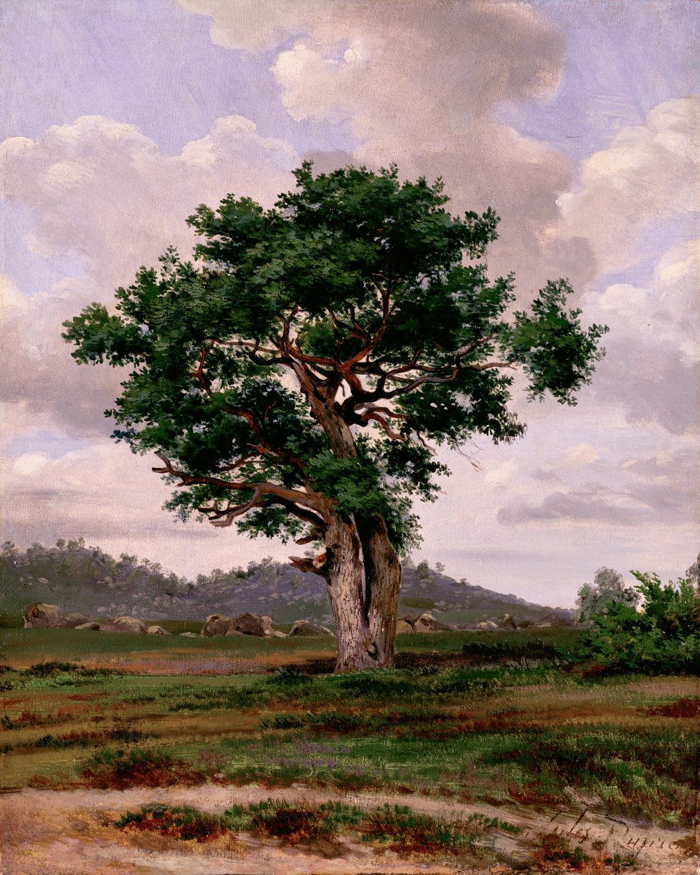 Le Rageur - Jules Dupré