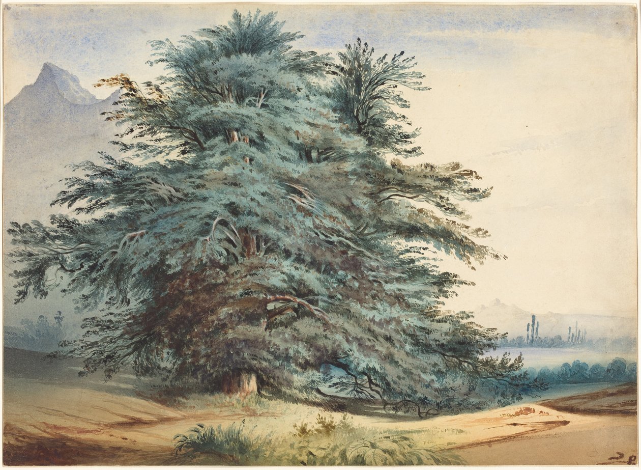 Deux arbres anciens devant un sommet montagneux - Jules Dupré