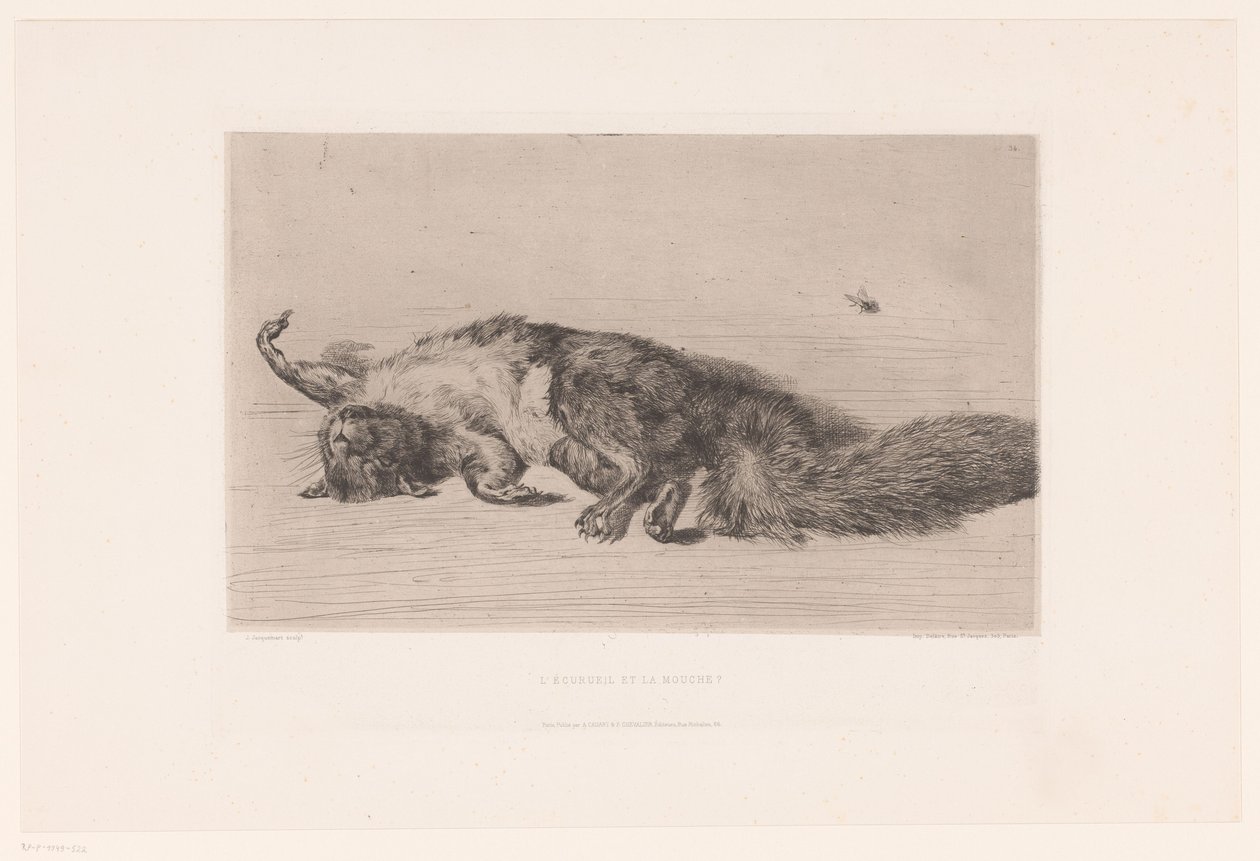 Écureuil mort et mouche (L