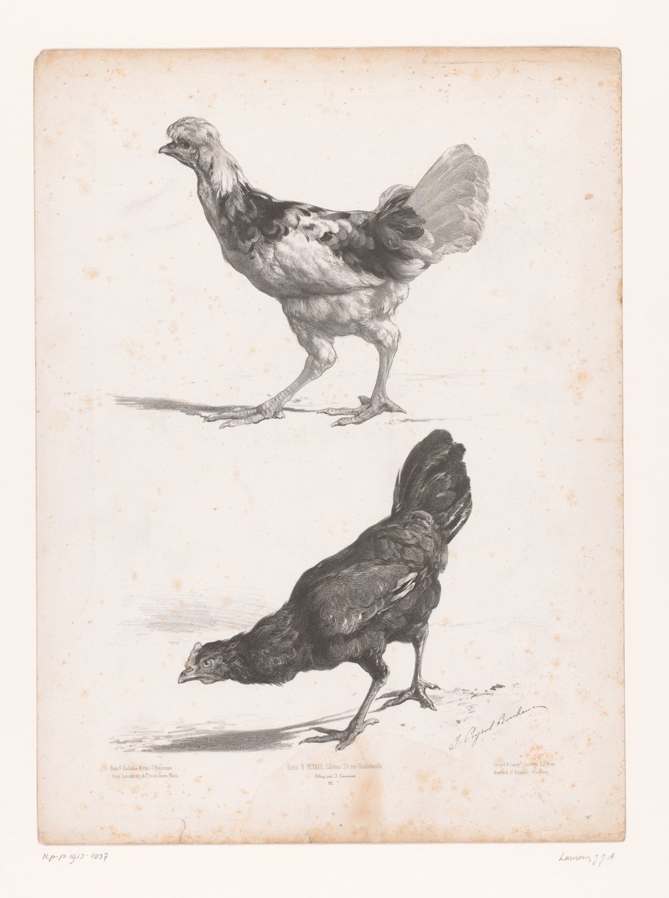 Étude de deux poules - Jules Joseph Augustin Laurens