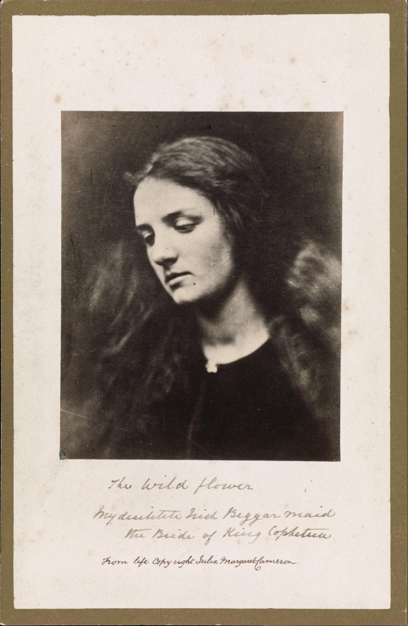 La fleur sauvage - Julia Margaret Cameron