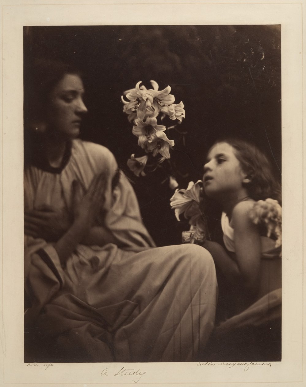 Une étude - Julia Margaret Cameron