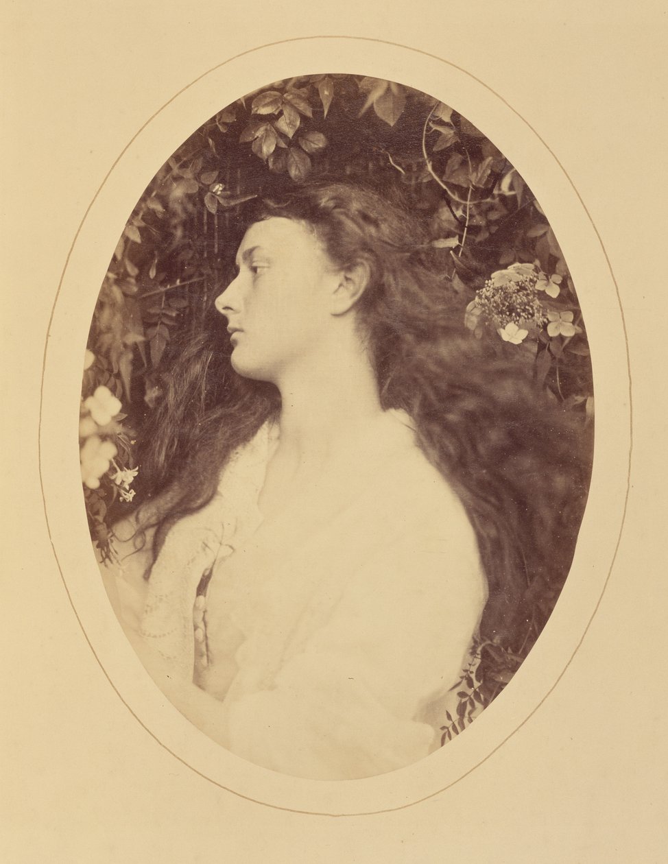 [Alethea] - Julia Margaret Cameron