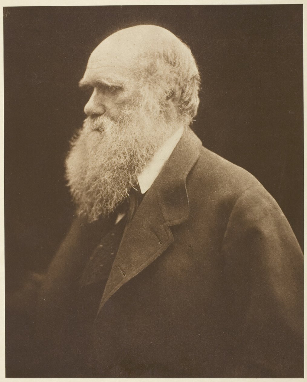 Charles Darwin - Julia Margaret Cameron