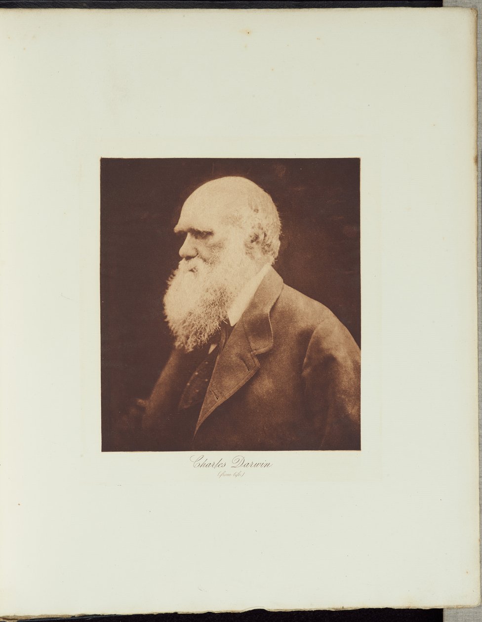 Charles Darwin - Julia Margaret Cameron
