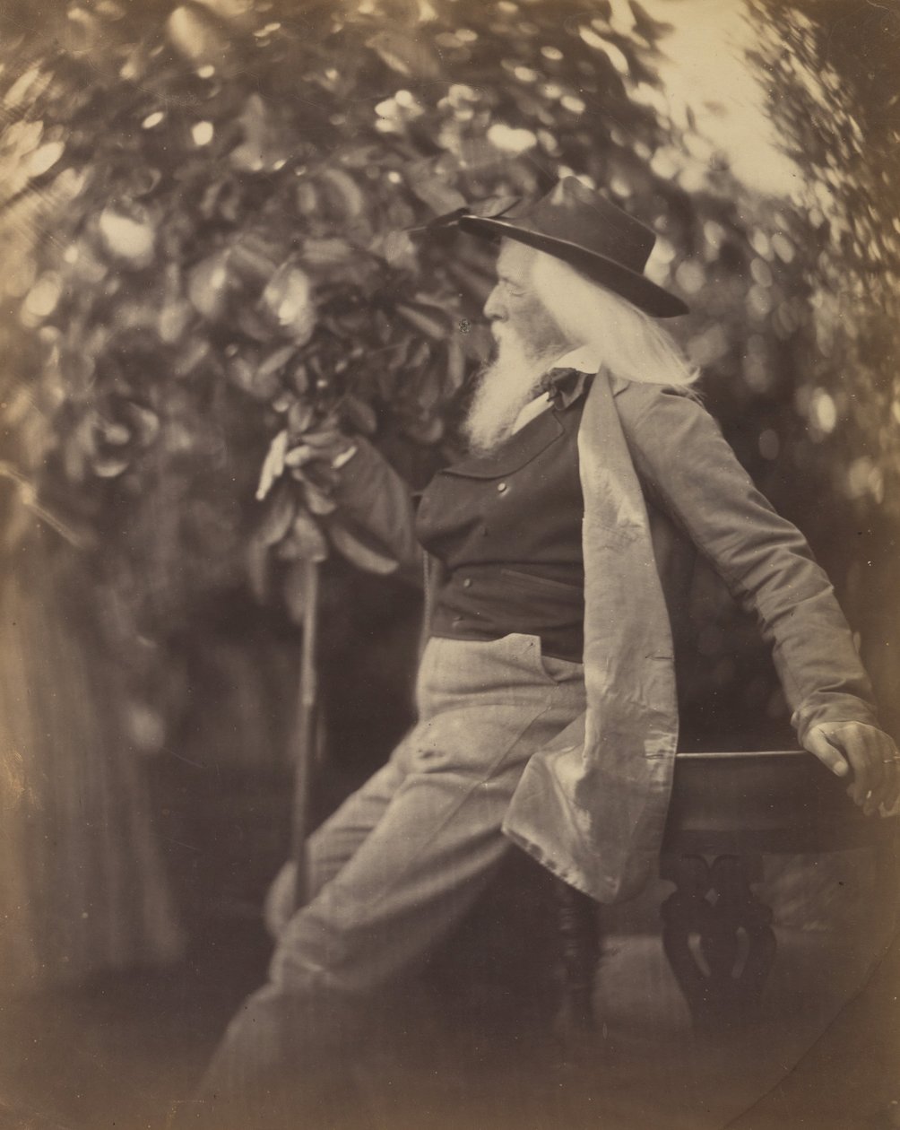 Charles Hay Cameron, Esq., dans son jardin à Freshwater, 1865-67 - Julia Margaret Cameron