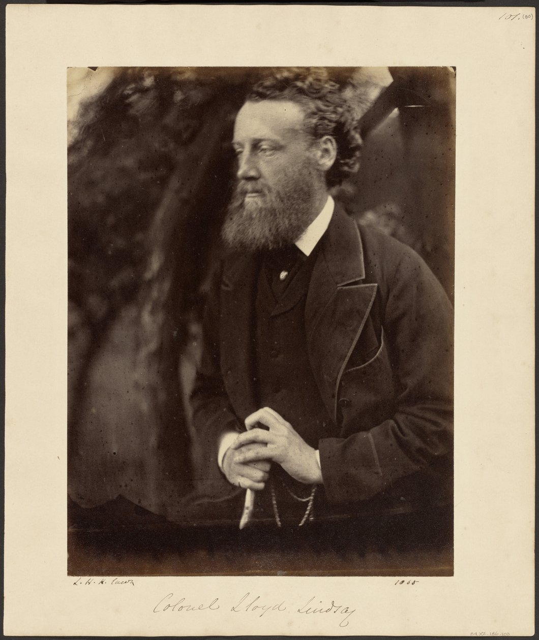 Le colonel Lloyd Lindsay - Julia Margaret Cameron