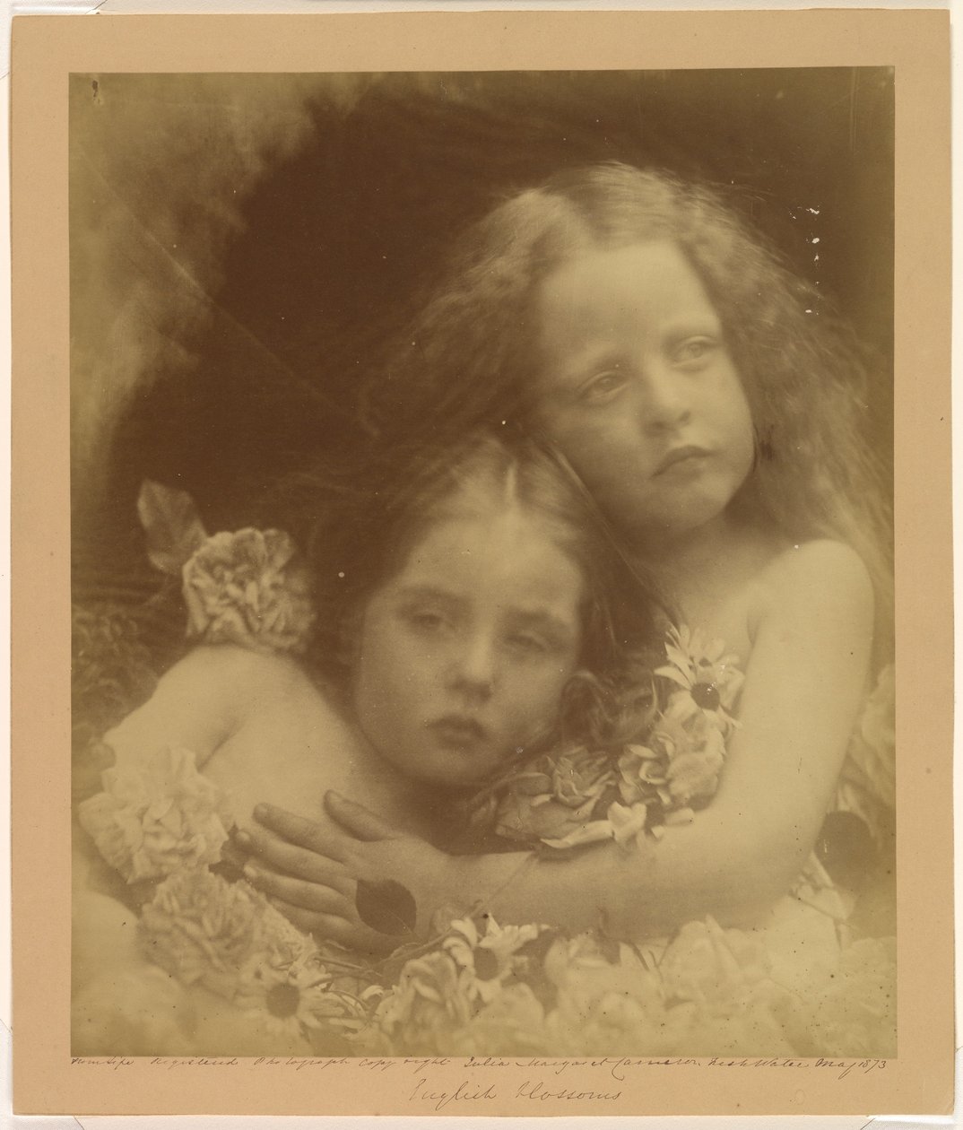 Fleurs anglaises - Julia Margaret Cameron