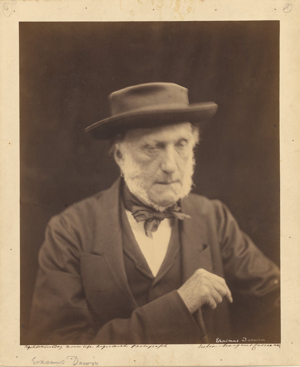 [Erasmus Darwin] - Julia Margaret Cameron
