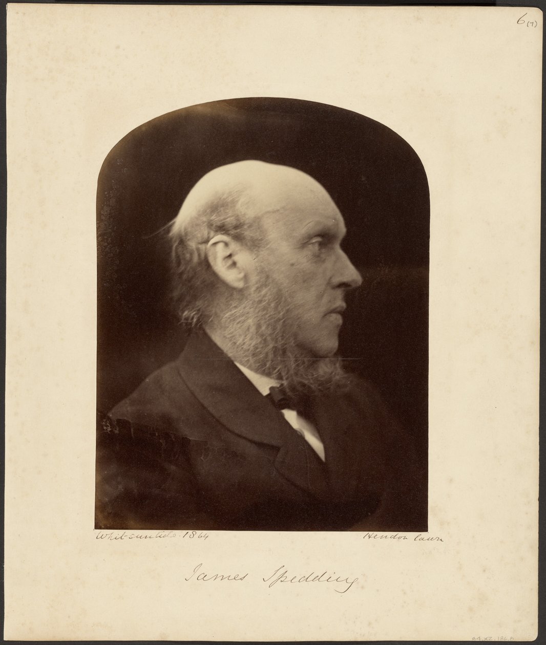 James Spedding - Julia Margaret Cameron