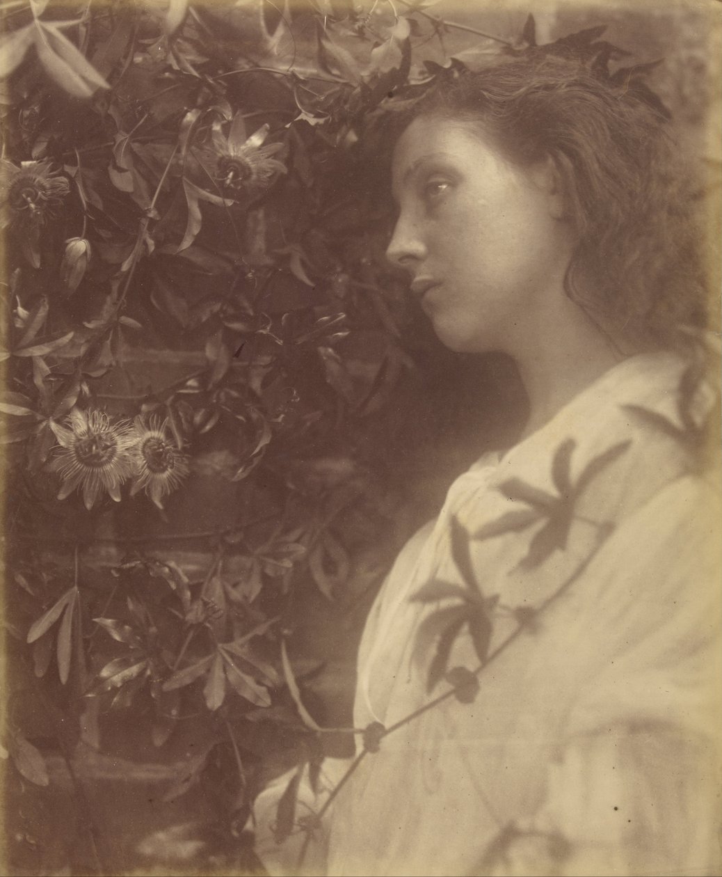 Maud "Une magnifique larme est tombée de la fleur de la passion à la porte". - Julia Margaret Cameron