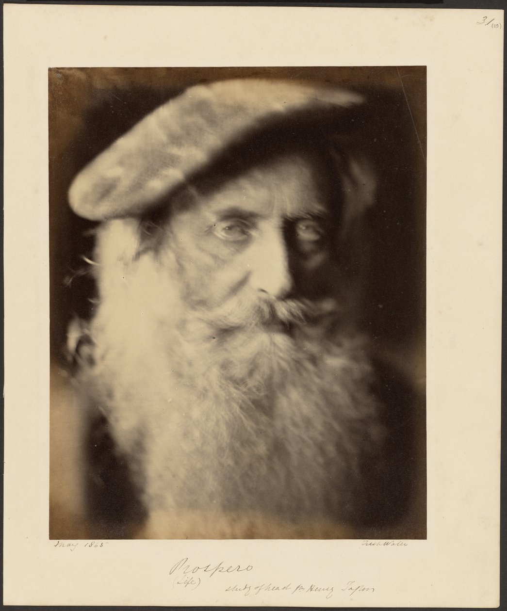 Prospérité - Julia Margaret Cameron