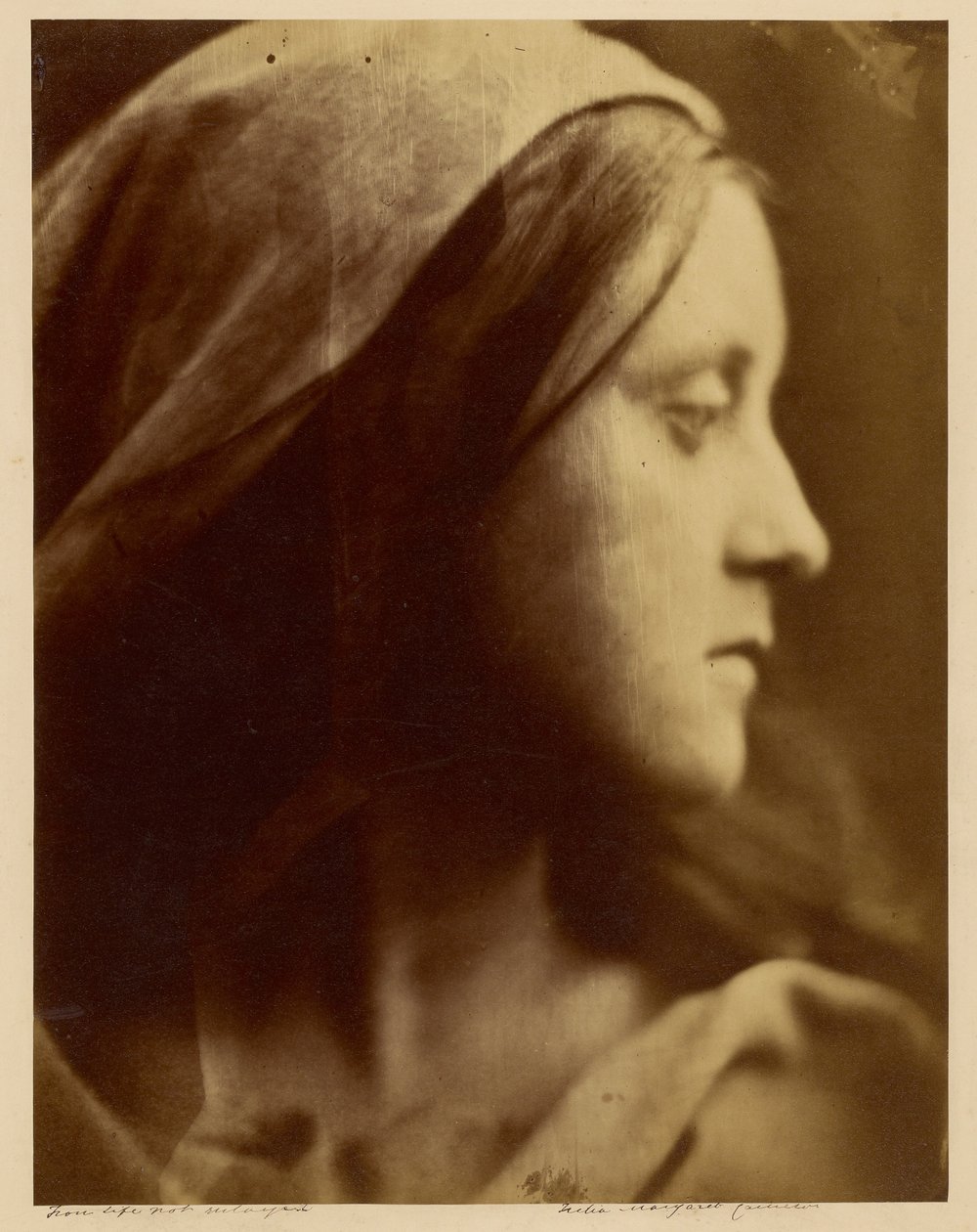 [Étude pour une Sainte Famille] - Julia Margaret Cameron