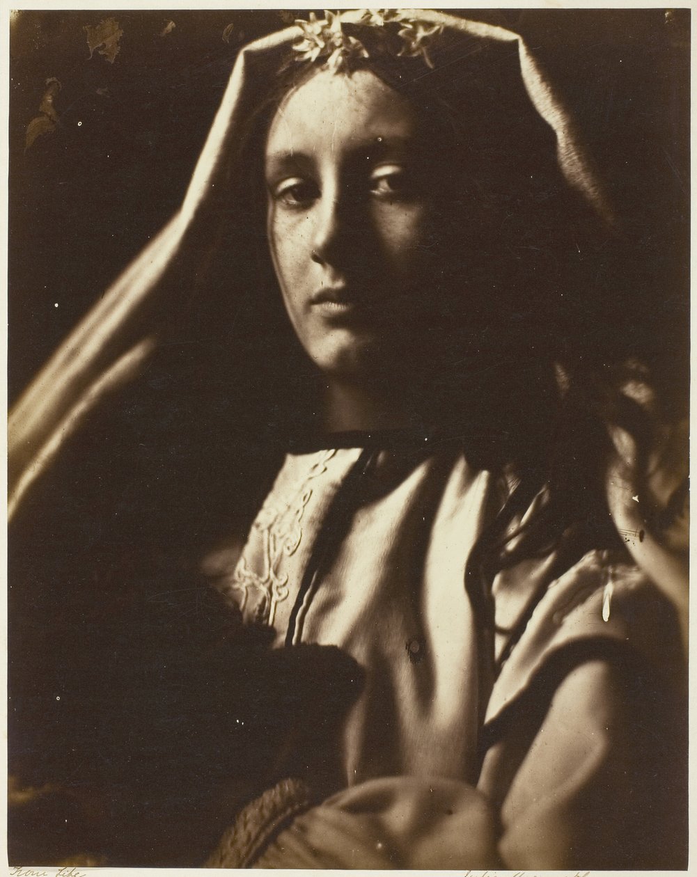Le Napolitain - Julia Margaret Cameron