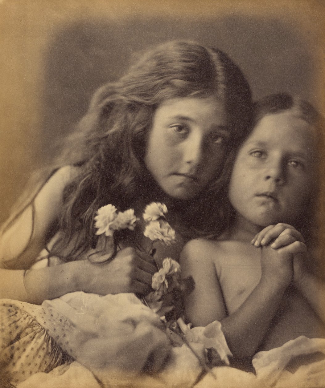 Les roses rouges et blanches - Julia Margaret Cameron