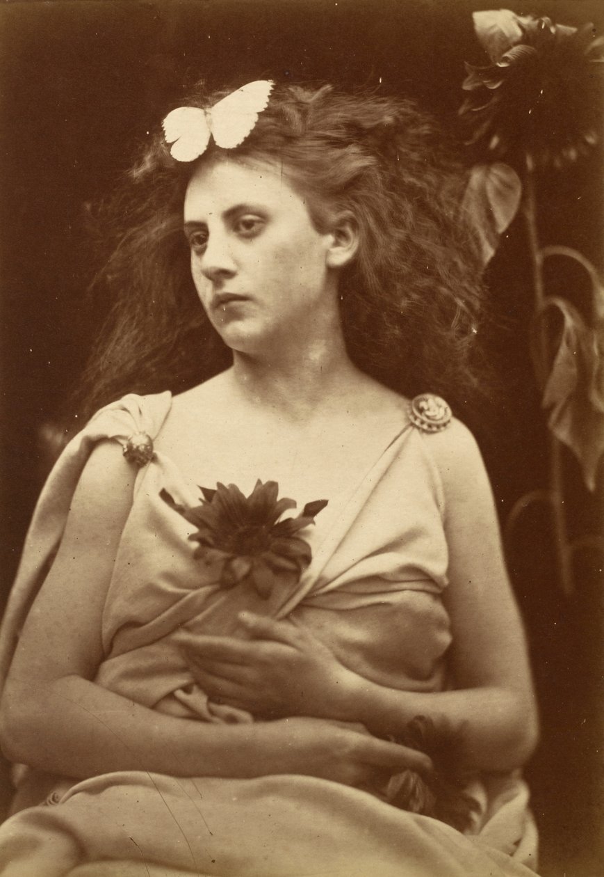Le Tournesol - Julia Margaret Cameron