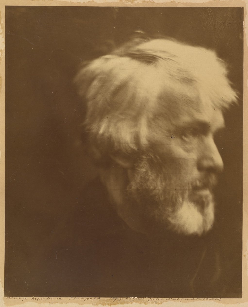 Thomas Carlyle - Julia Margaret Cameron